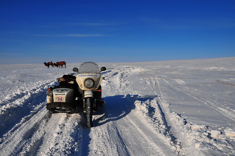 Mongolie